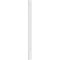 Ekena Millwork Raised Panel PVC Pilaster w/Standard Capital & Base, 9"W x 120"H x 2"P PILP09X120RP01-2 - alternate 5